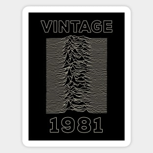 Vintage 1981 - Unknown Pleasures Magnet